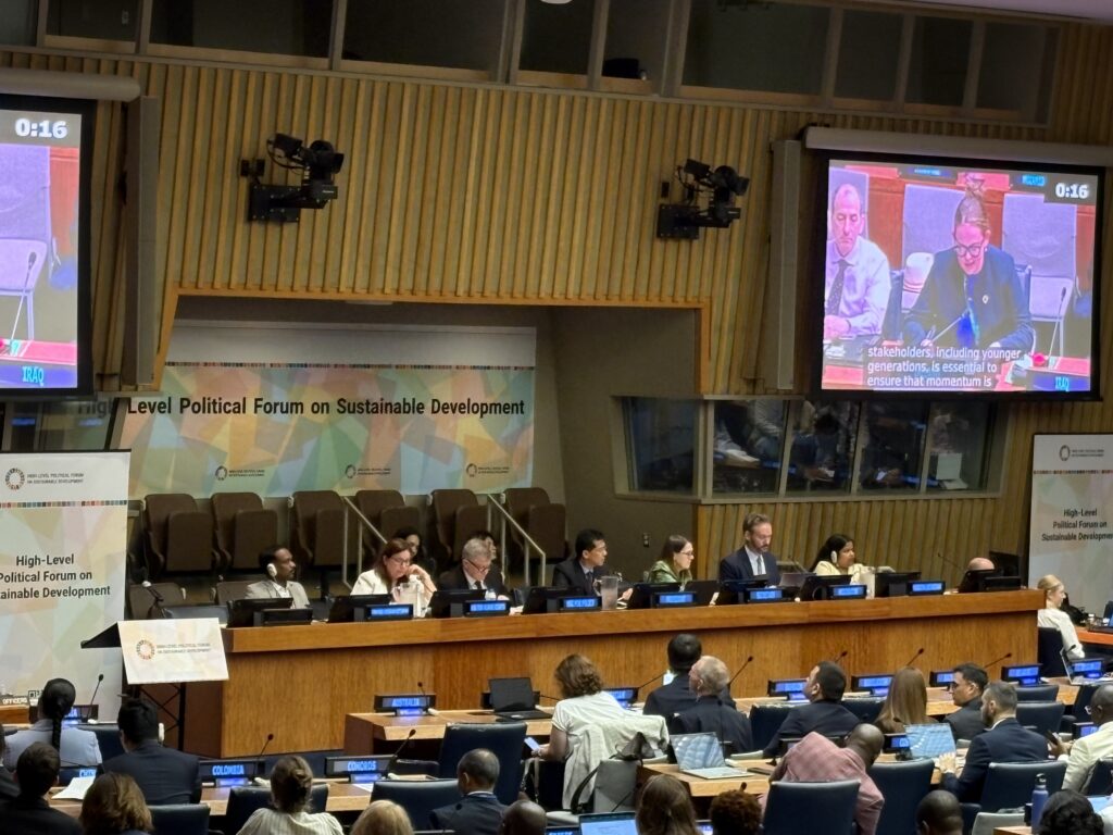 Grounding the Global Agenda: How Local Action is Shaping a More Sustainable Future